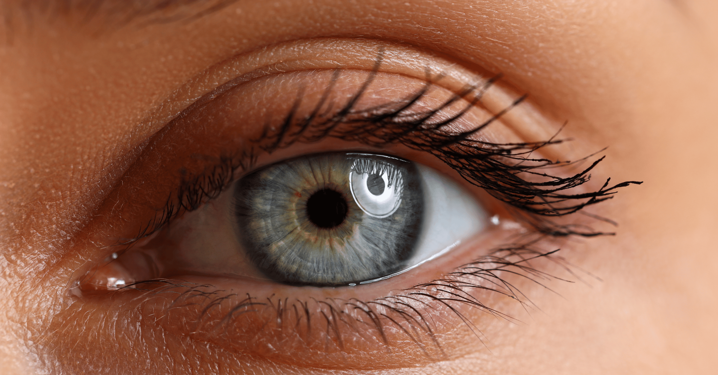 A close snap of an human Eye