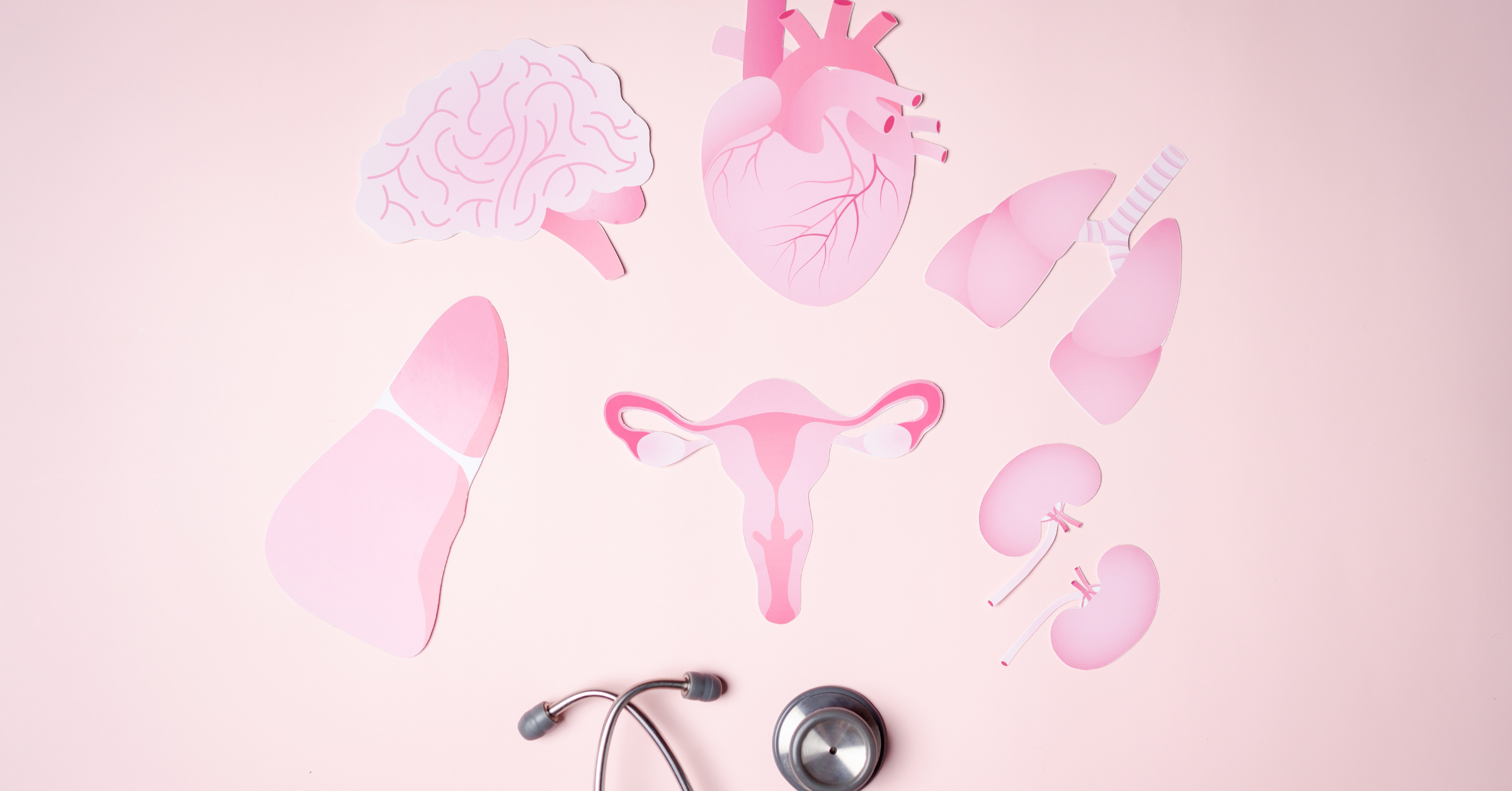 An image of femal reproductive system in pink color
