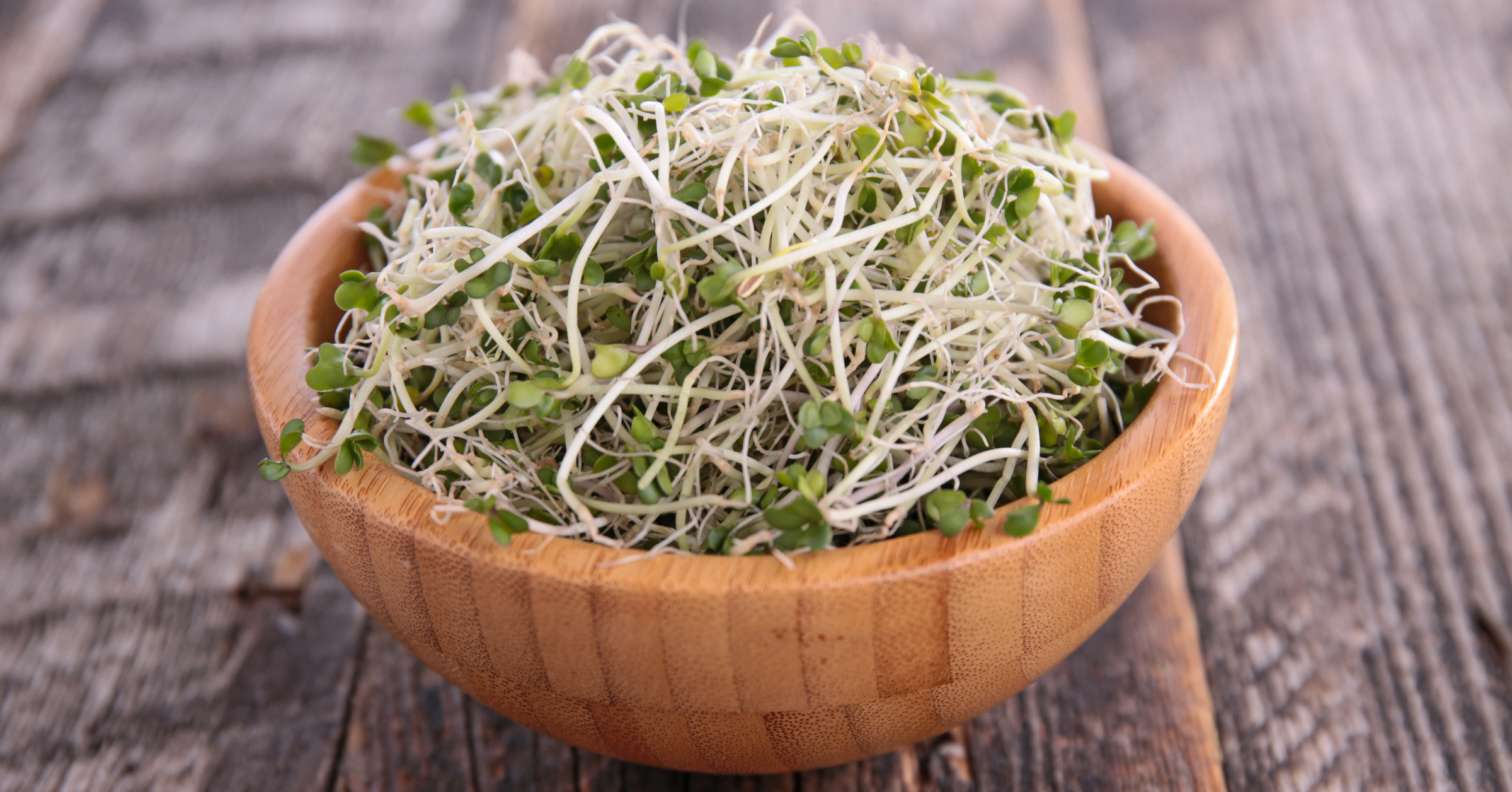 Learn all about broccoli sprouts, sulforaphane, diet and how to put yourself first.