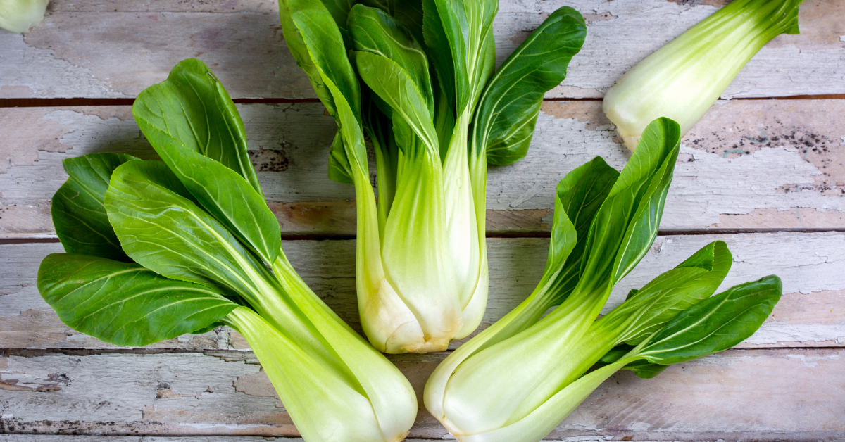 Bok Choy Bliss: Unlock the superfood secrets of this nutritious vegetable, exploring its health benefits, culinary versatility, and ways to incorporate it into your diet for optimal well-being.